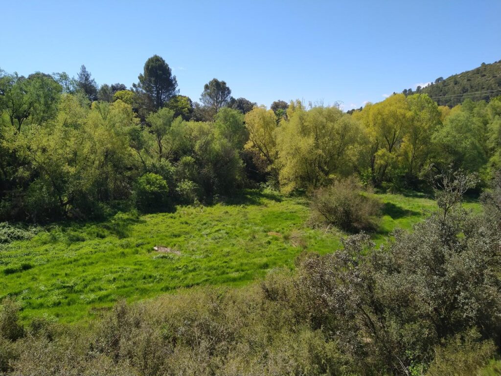 Biscarrués, Val. Paisaje. Suelos de Aragón