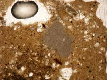 Guadasespe-1, Micromorfología