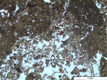 Loma de Bailo, Micromorfología