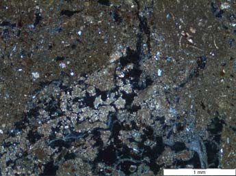 Loma de Bailo, Micromorfología