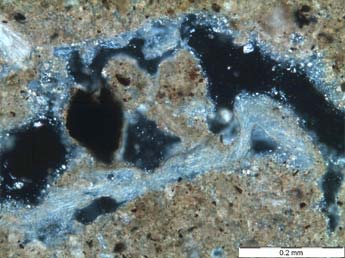 Loma de Bailo, Micromorfología