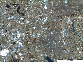 Loma de Bailo, Micromorfología