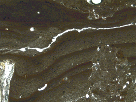 Ripas de Lupiñén, Micromorfología