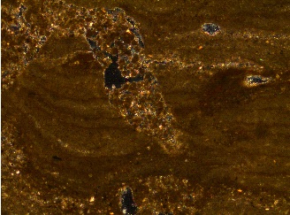 Ripas de Lupiñén, Micromorfología