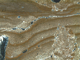 Ripas de Lupiñén, Micromorfología
