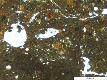 Saladar-1, Micromorfologia