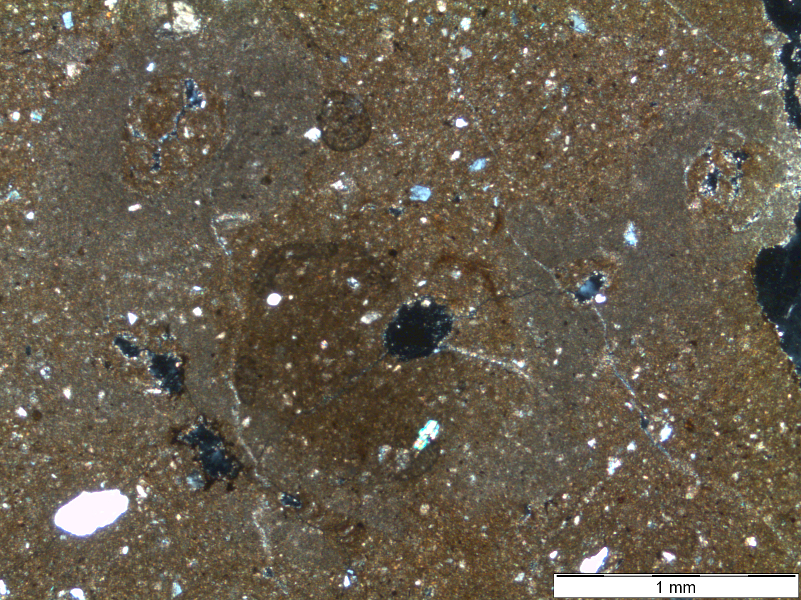 Saso de las Fitas, Micromorfología