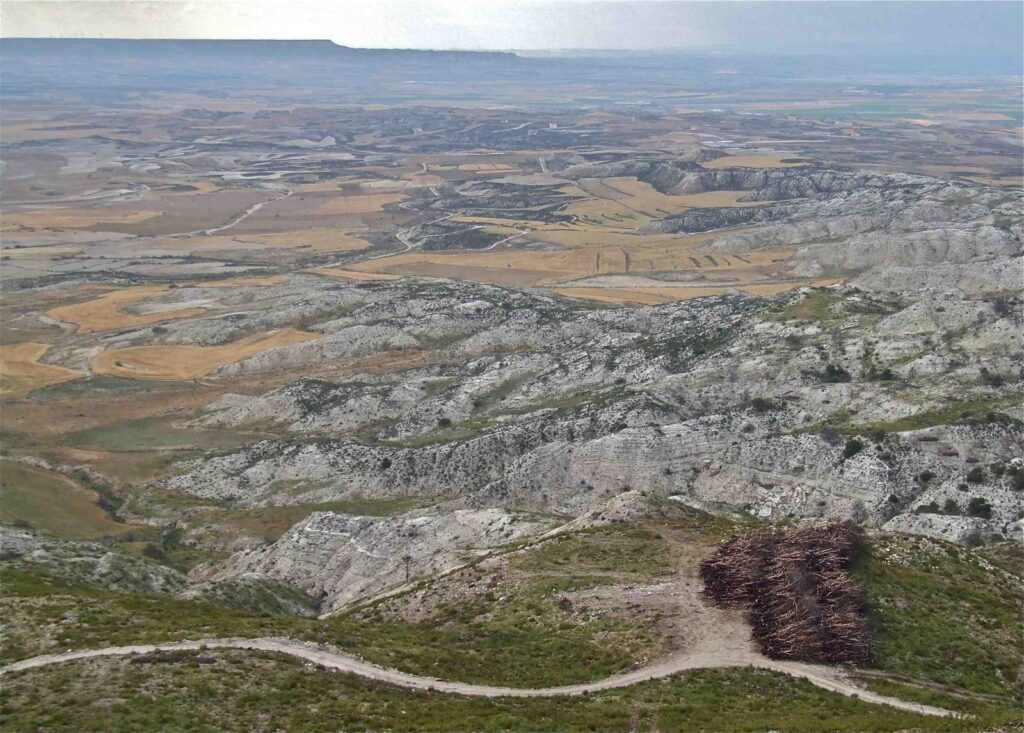 Tauste, Paisaje