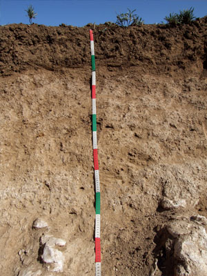 Torre Fierro (Almunietas), Perfil